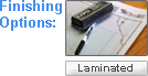 Laminated Wall Maps