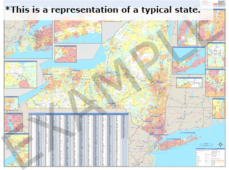 New York Demographic Wall Map