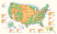 Custom Educational Wall Maps