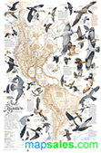 Custom Educational Wall Maps