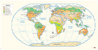 Educational State Wall Maps