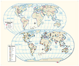 Educational State Wall Maps