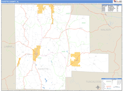 Fayette Wall Map by MarketMAPS