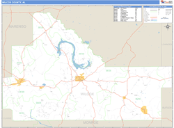Wilcox Wall Map by MarketMAPS