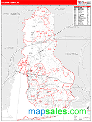 Baldwin Wall Map by MarketMAPS