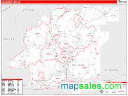 Calhoun Wall Map by MarketMAPS
