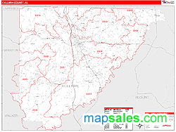 Cullman Wall Map by MarketMAPS