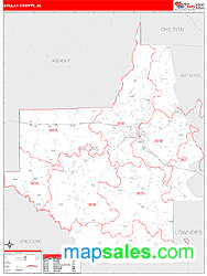 Dallas Wall Map by MarketMAPS