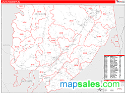 Jackson Wall Map by MarketMAPS