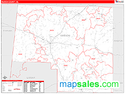 Marion Wall Map by MarketMAPS