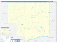 Platte, Ne Carrier Route Wall Map