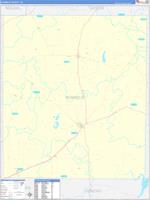 Runnels, Tx Carrier Route Wall Map