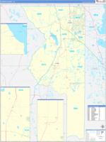 Sumter, Fl Carrier Route Wall Map