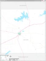 Baylor, Tx Carrier Route Wall Map