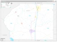 Dooly, Ga Carrier Route Wall Map
