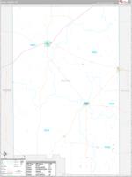 Duval, Tx Carrier Route Wall Map