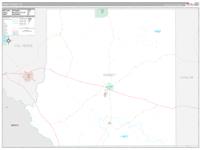Kinney, Tx Carrier Route Wall Map