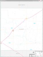 Parmer, Tx Carrier Route Wall Map