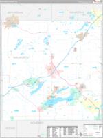 Walworth, Wi Carrier Route Wall Map