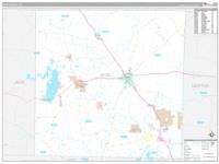 Wise, Tx Carrier Route Wall Map