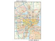 Detroit MI Wall Map