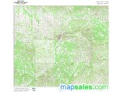 Bullock, AL Topographic Wall Map