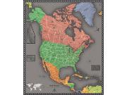 Contemporary North America Wall Map
