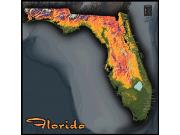 Florida Topo Wall Map