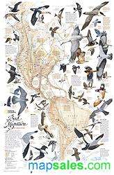 Western Hemisphere Bird Migration Wall Map