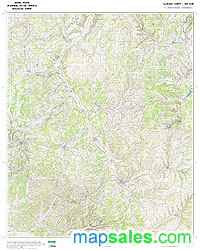 Allegany County, NY Topo Wall Map