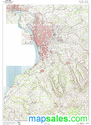 Erie County, NY Topo Wall Map