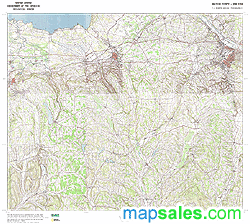 Madison County, NY Topo Wall Map