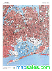 Queens County, NY Topo Wall Map