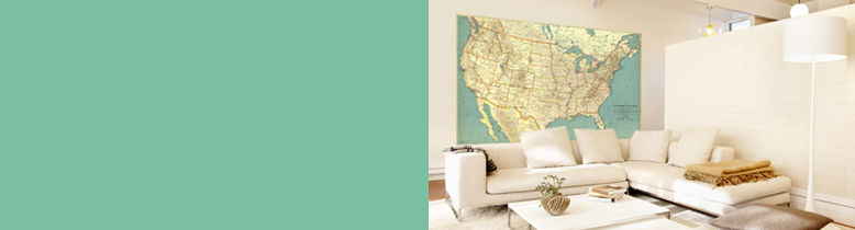 Interior Decor Wall Maps