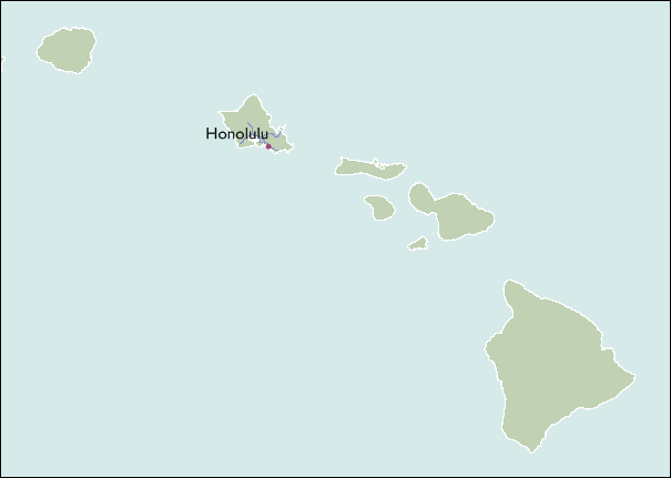City Wall Maps of Hawaii