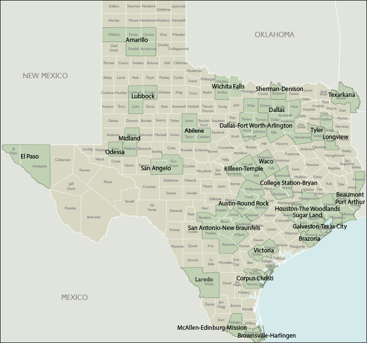 Metro Area Wall Maps of Texas