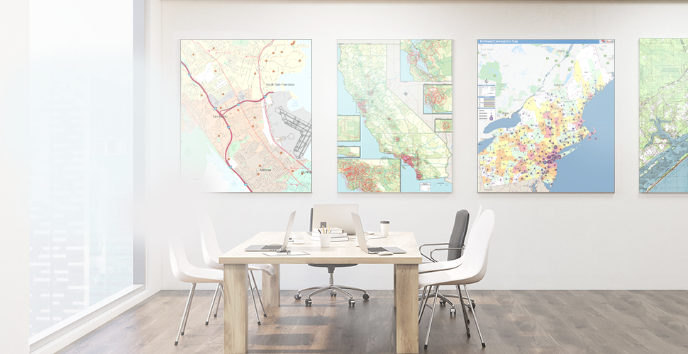 Custom Wall Maps MapSales