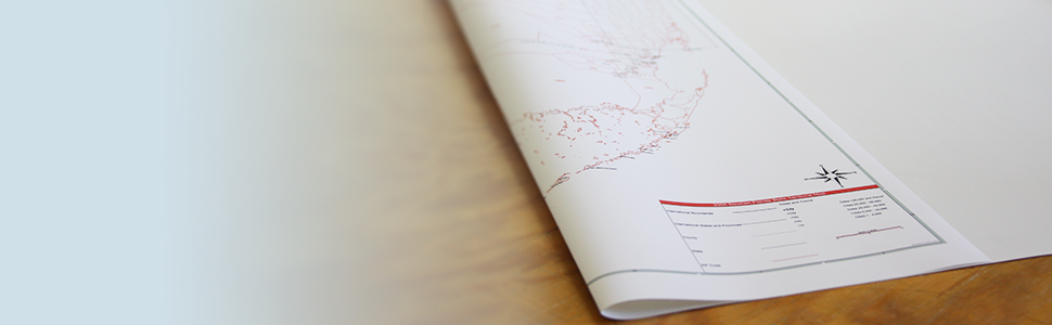 Synthetic Paper Wall Maps