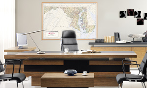 Shop for interior decor wall maps for executive offices.