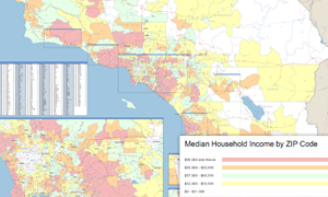 Demographic Wall Maps