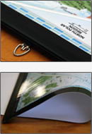 Plastic Rail Wall Maps Example