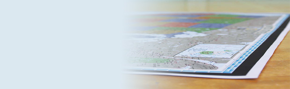 Archival paper Wall Maps