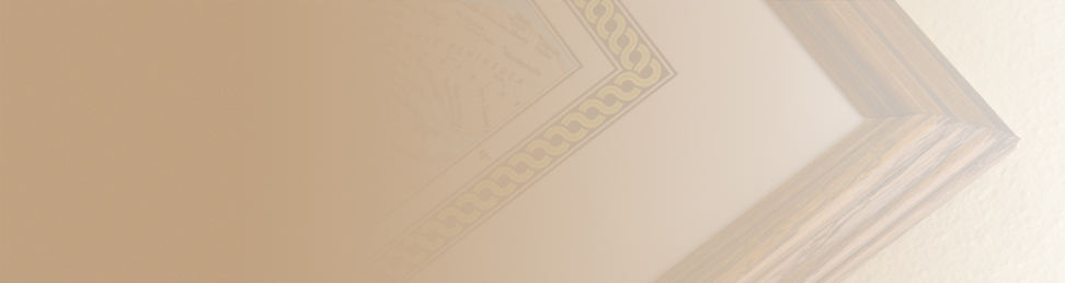 Executive Mounted Wall Maps
