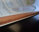 Wooden Rails Wall Maps Thumbnail 5