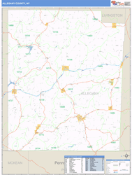 Allegany, Ny Zip Code Wall Map