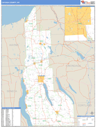 Cayuga, Ny Zip Code Wall Map