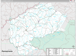 Delaware, Ny Wall Map