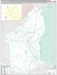 Lewis, Ny Wall Map