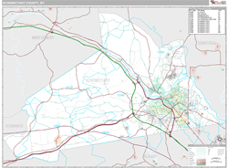 Schenectady, Ny Wall Map