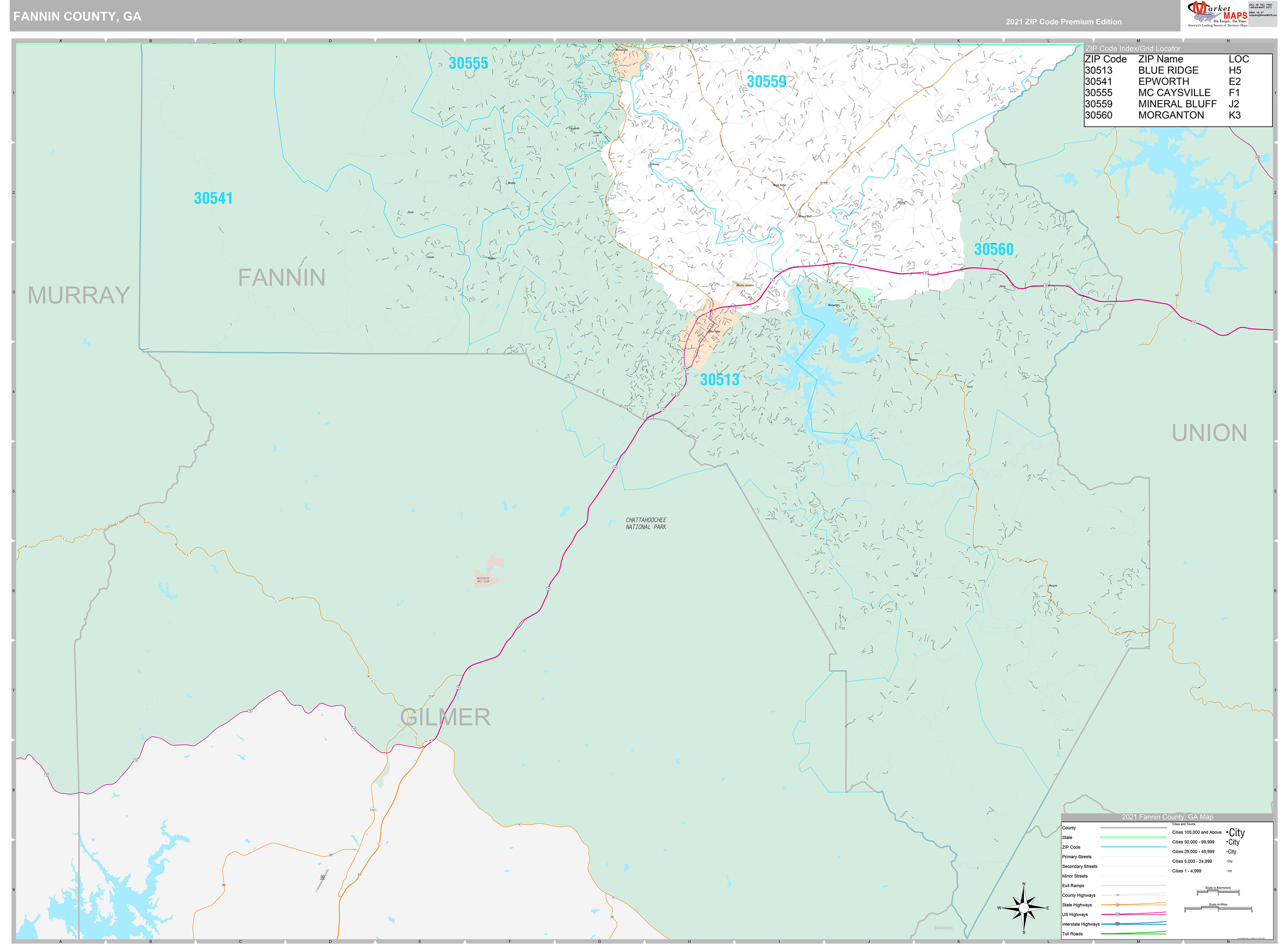 Fannin County, GA Wall Map Premium Style by MarketMAPS